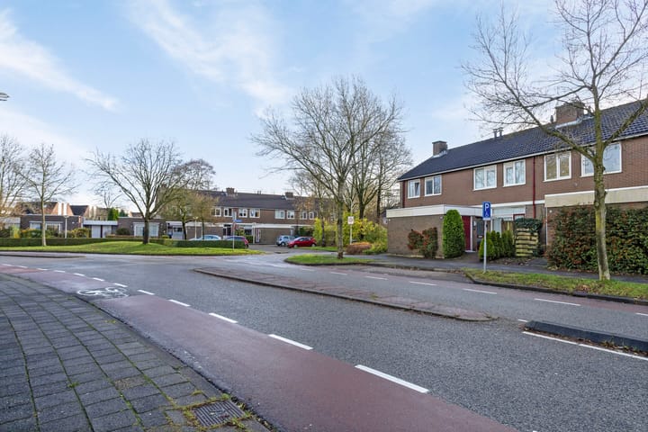 Foto 39 van Stinzenflora 96