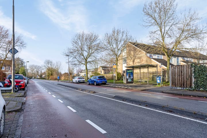 Foto 40 van Stinzenflora 96