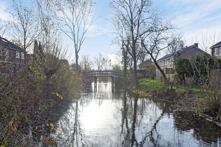 Foto 41 van Stinzenflora 96