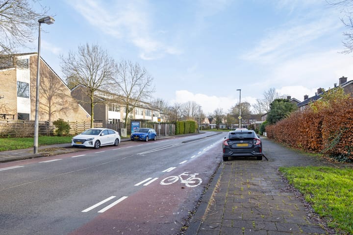 Foto 42 van Stinzenflora 96