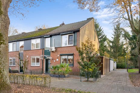 undefined main image