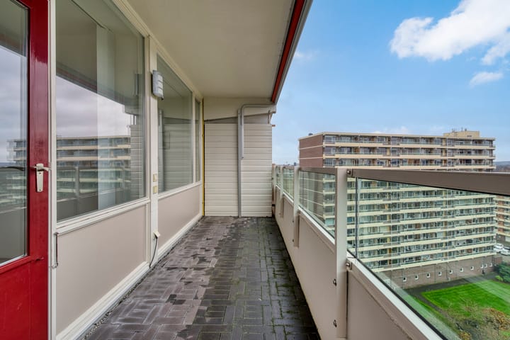 Foto 8 van Prins Willem-Alexanderpark 587