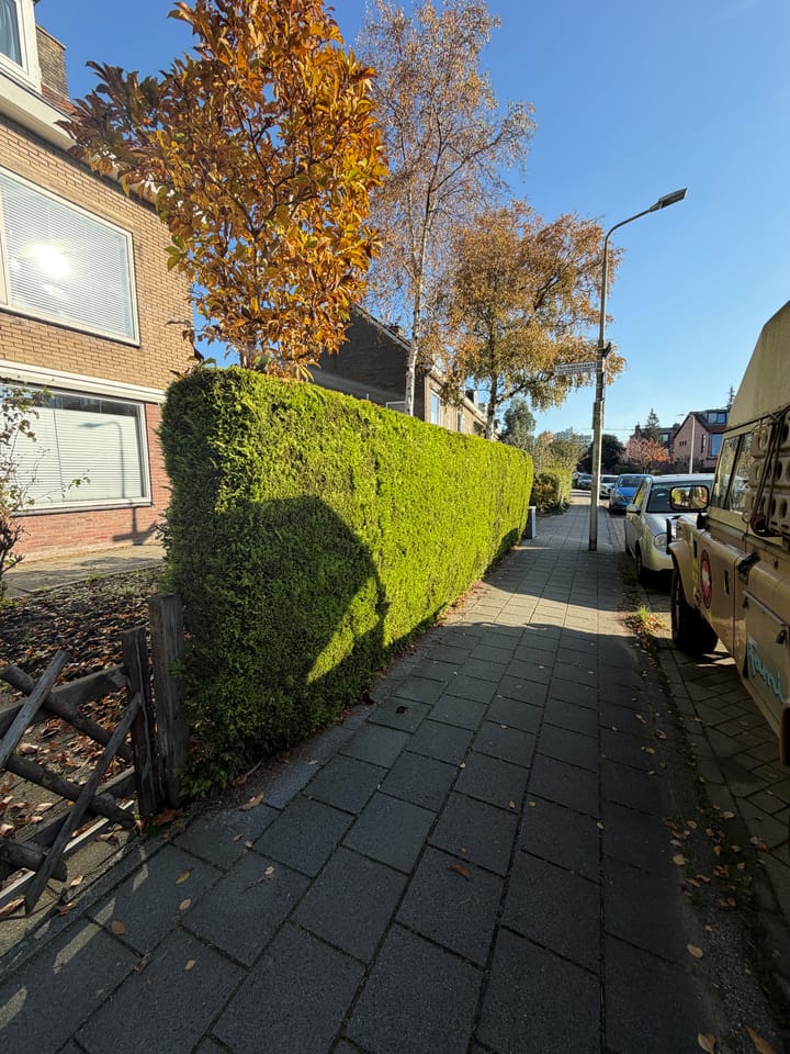 Foto 21 van Thorbeckelaan 58