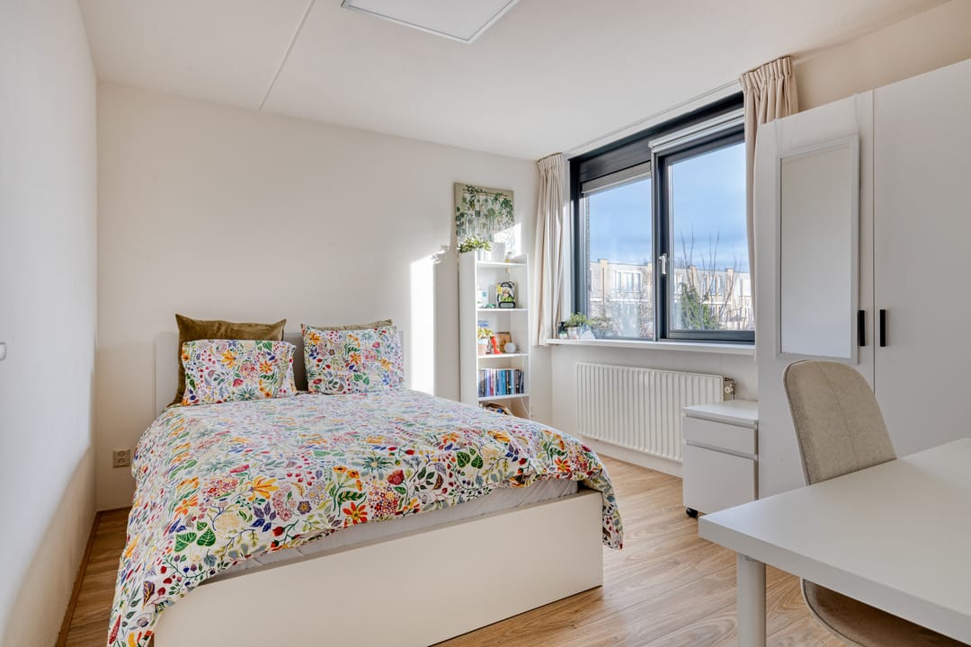 Photo 23 of Hoogaars 26