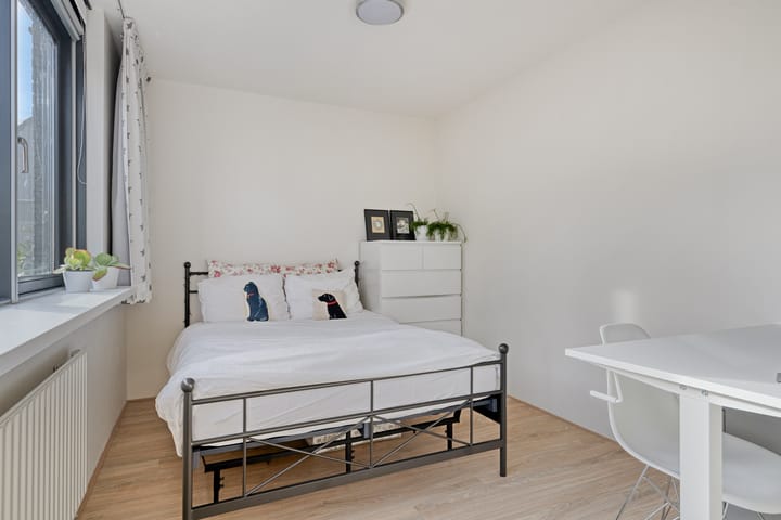 Foto 27 van Hoogaars 26