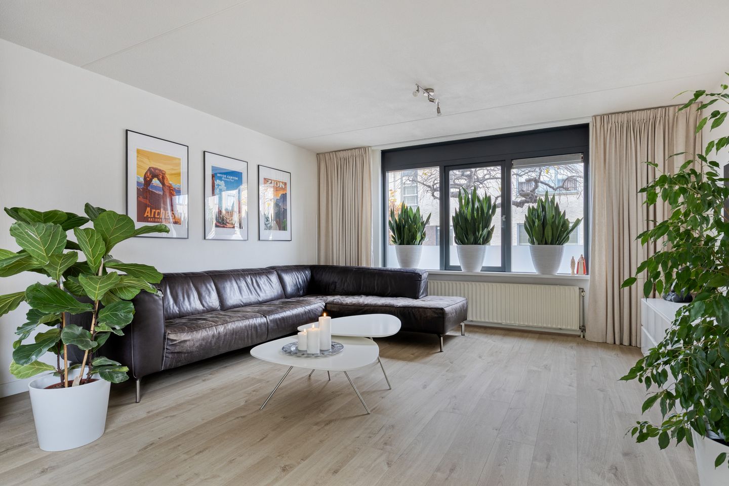 Photo 4 of Hoogaars 26