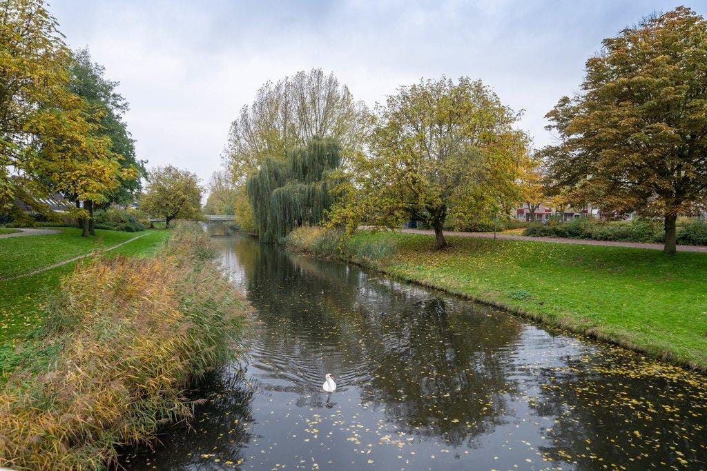 Photo 39 of Saint-Saensgracht 15