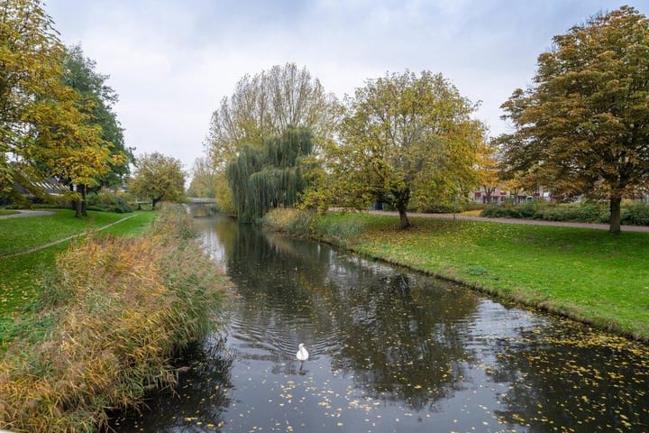 Foto 39 van Saint-Saensgracht 15