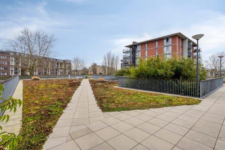 Foto 27 van Ansjovislaan 202