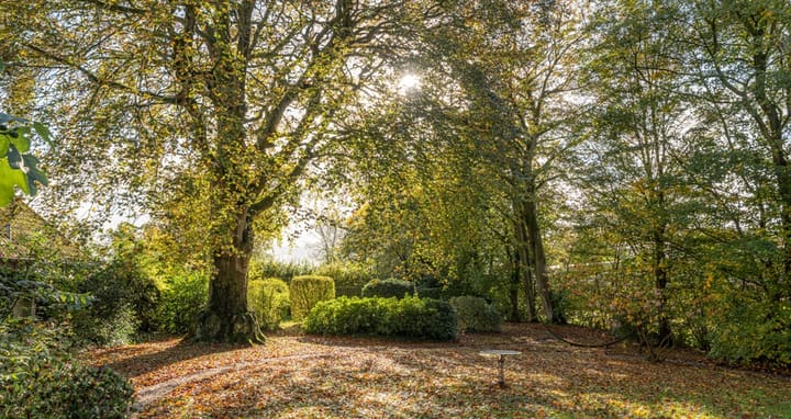 Foto 17 van 't Hou 2-A