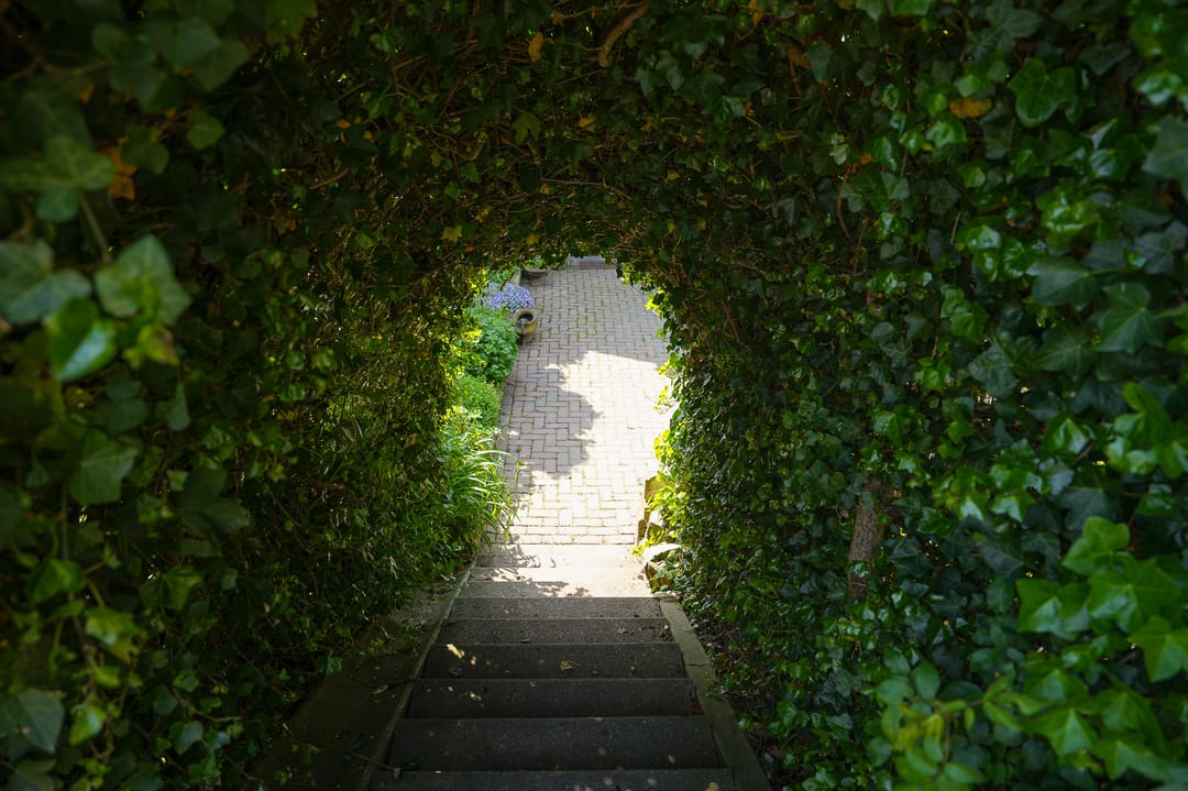 Foto 38 van Waaldijk 2