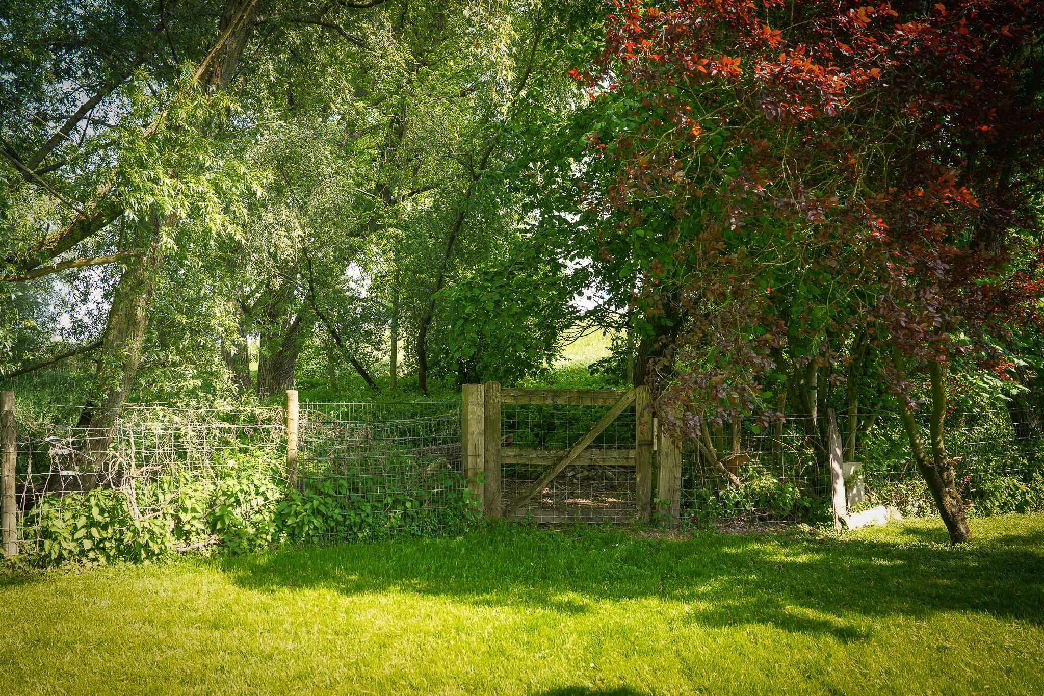 Foto 48 van Waaldijk 2