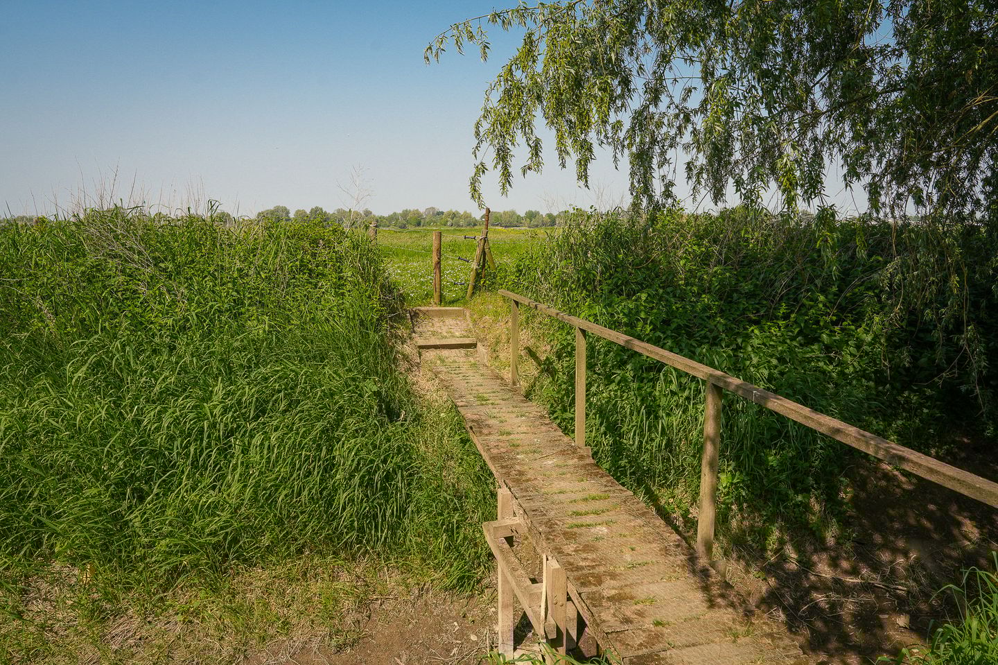 Foto 50 van Waaldijk 2