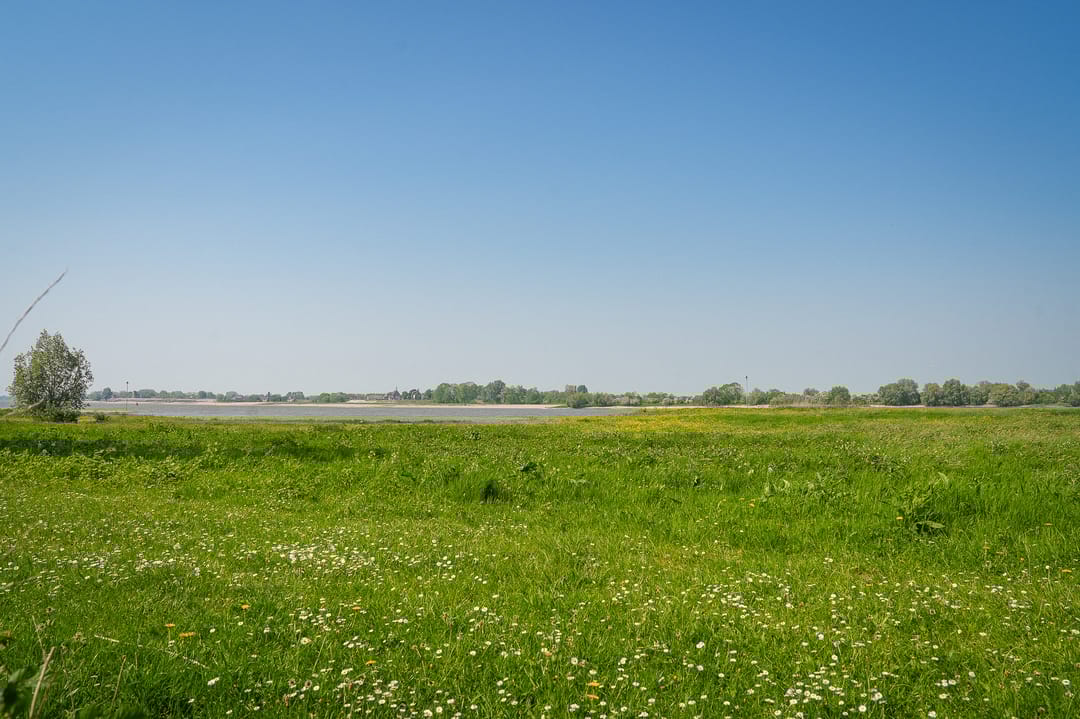 Foto 52 van Waaldijk 2