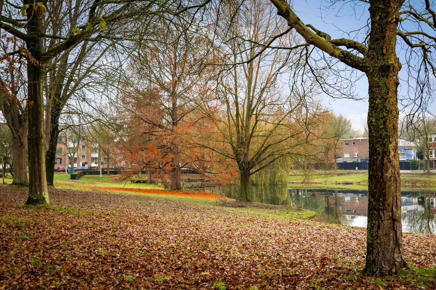 Foto 49 van Herman Boerhaavelaan 33