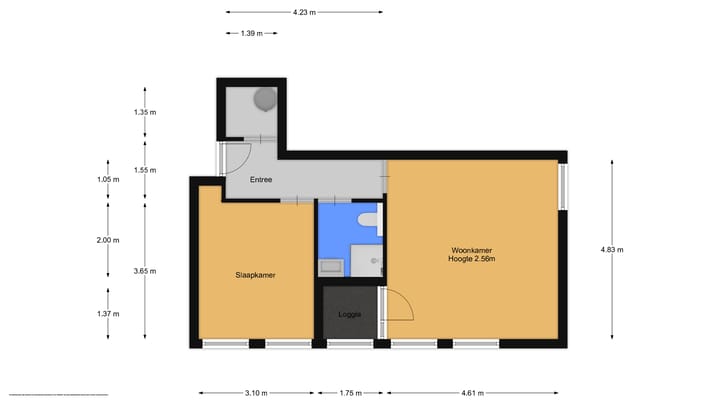 Foto 19 van Raadhuisplein 6