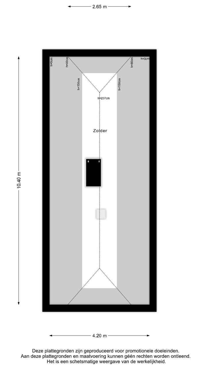 Foto 51 van Clematis 26