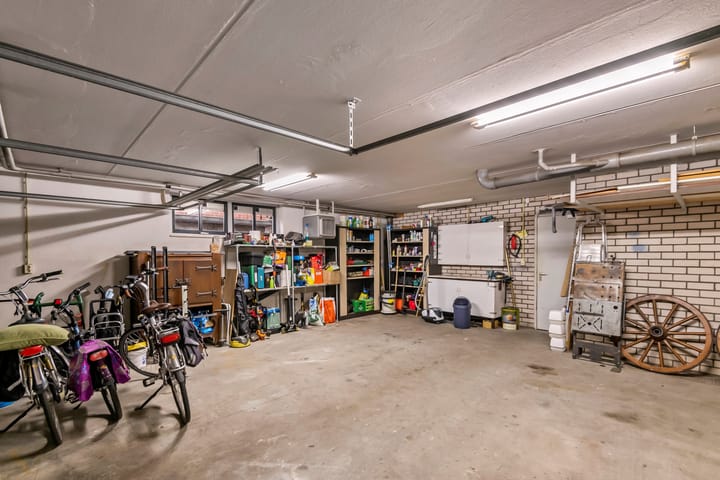 Foto 19 van Clematis 26