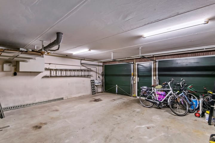 Foto 20 van Clematis 26