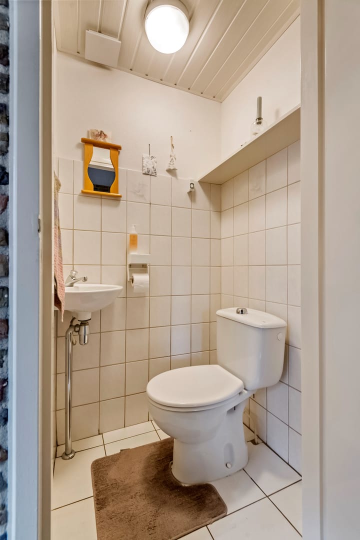 Foto 21 van Clematis 26