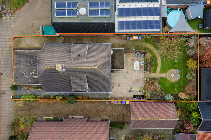 Foto 40 van Clematis 26