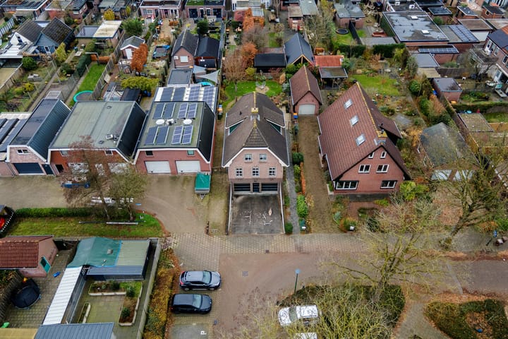 Foto 42 van Clematis 26