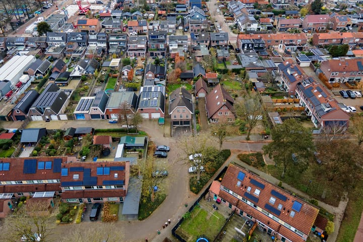 Foto 44 van Clematis 26