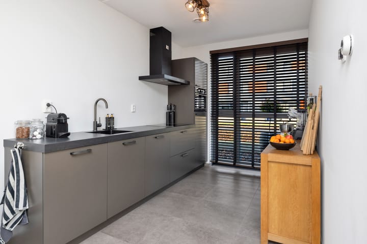 Photo 3 of Paardenbloem 33