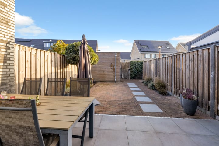 Photo 4 of Paardenbloem 33