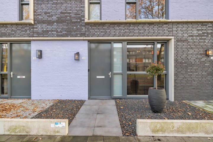 Photo 6 of Paardenbloem 33