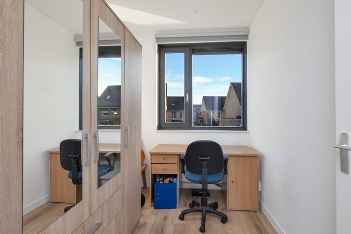 Photo 25 of Paardenbloem 33