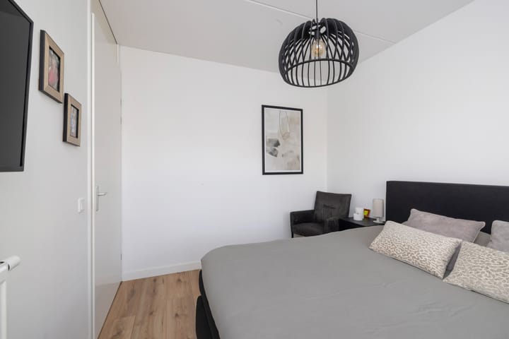 Photo 31 of Paardenbloem 33