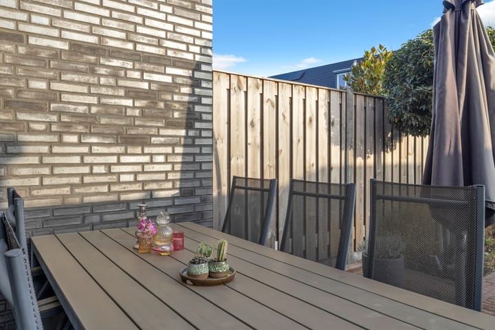 Photo 34 of Paardenbloem 33