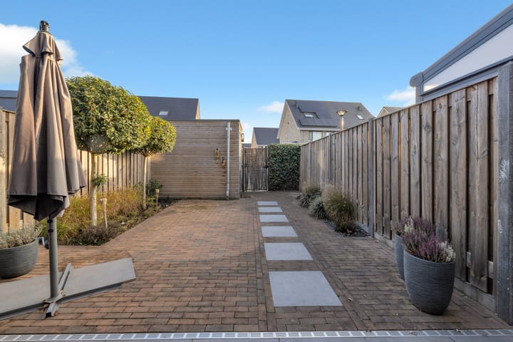 Photo 35 of Paardenbloem 33