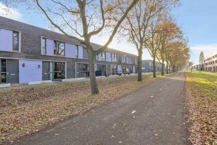 Photo 41 of Paardenbloem 33