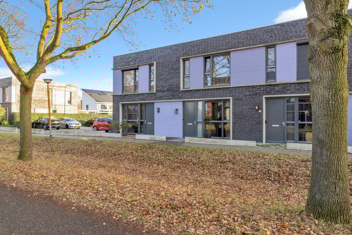 Photo 42 of Paardenbloem 33