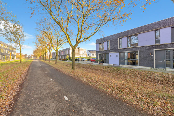 Photo 43 of Paardenbloem 33