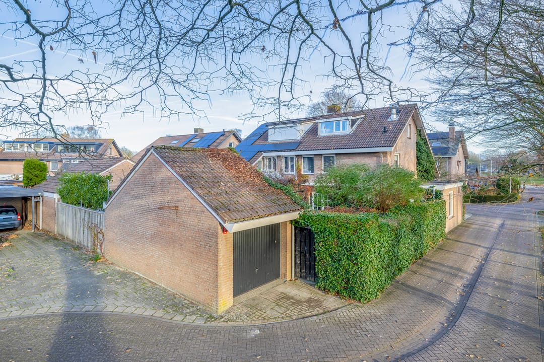 Photo 7 of Dieze 16