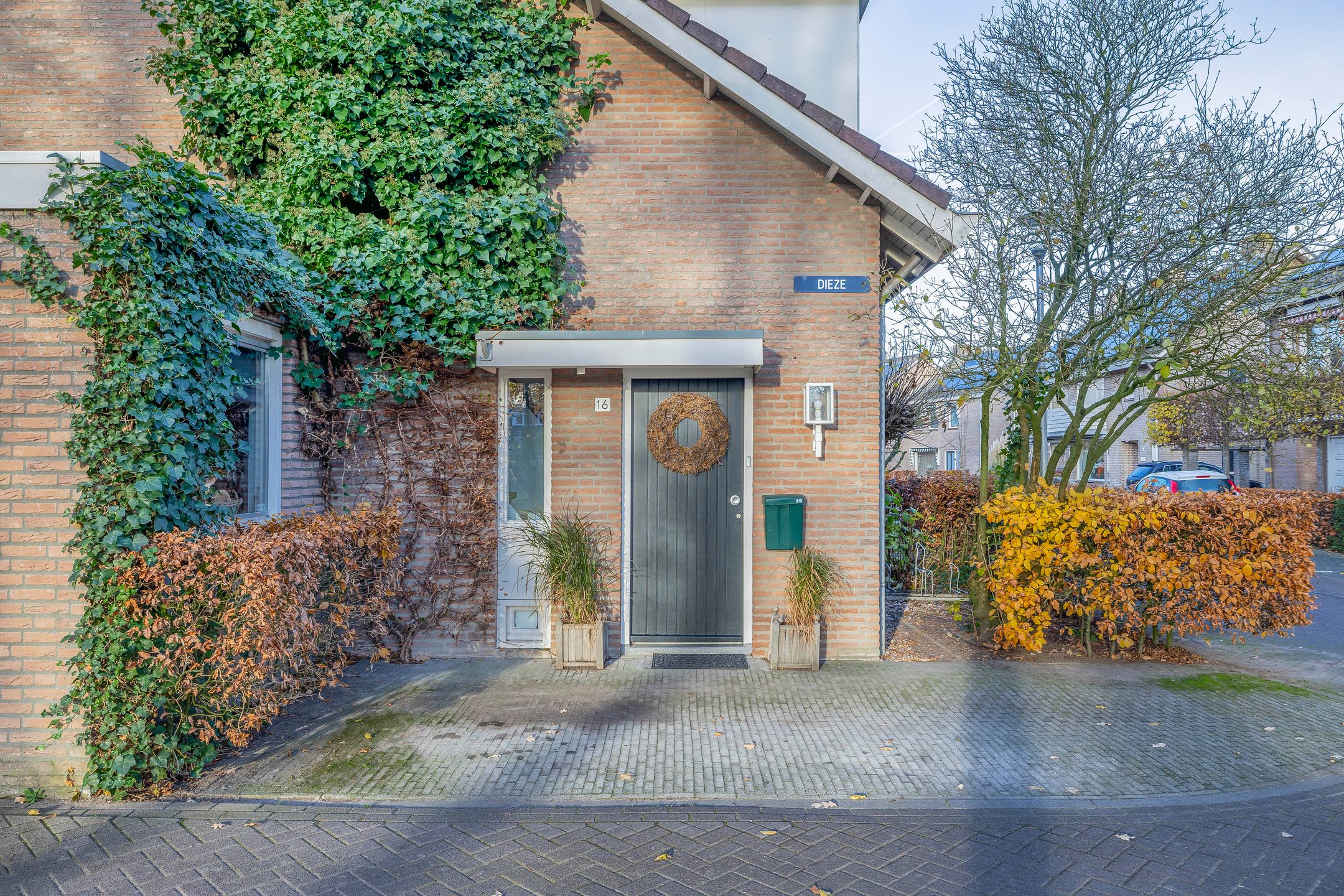Photo 9 of Dieze 16