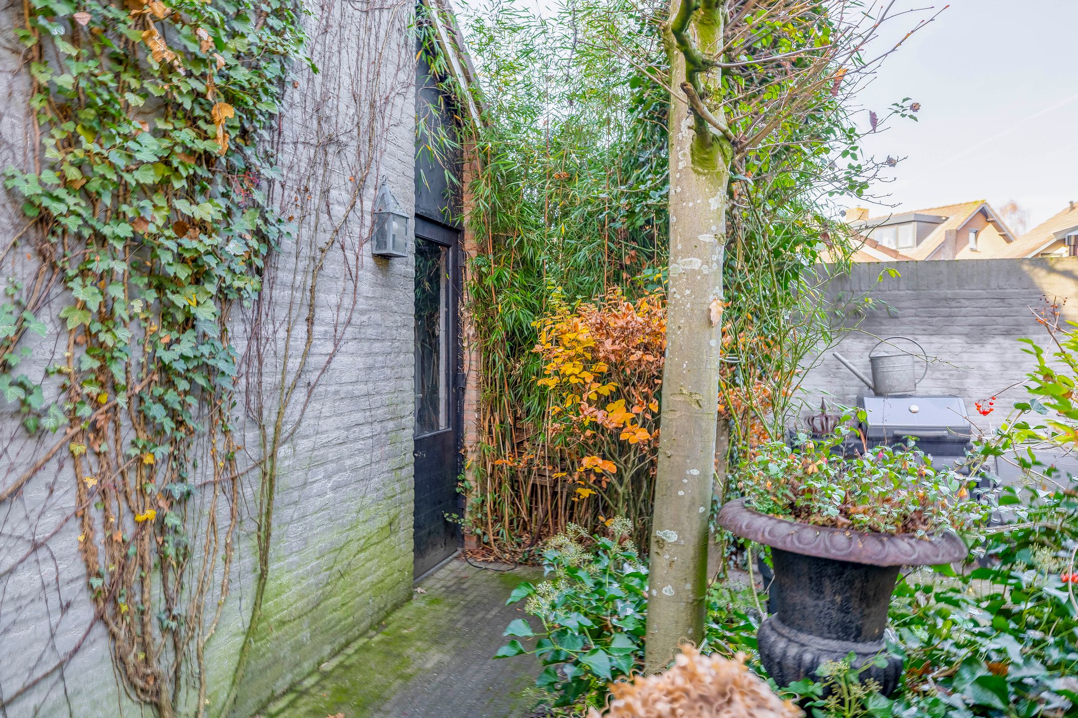 Photo 30 of Dieze 16
