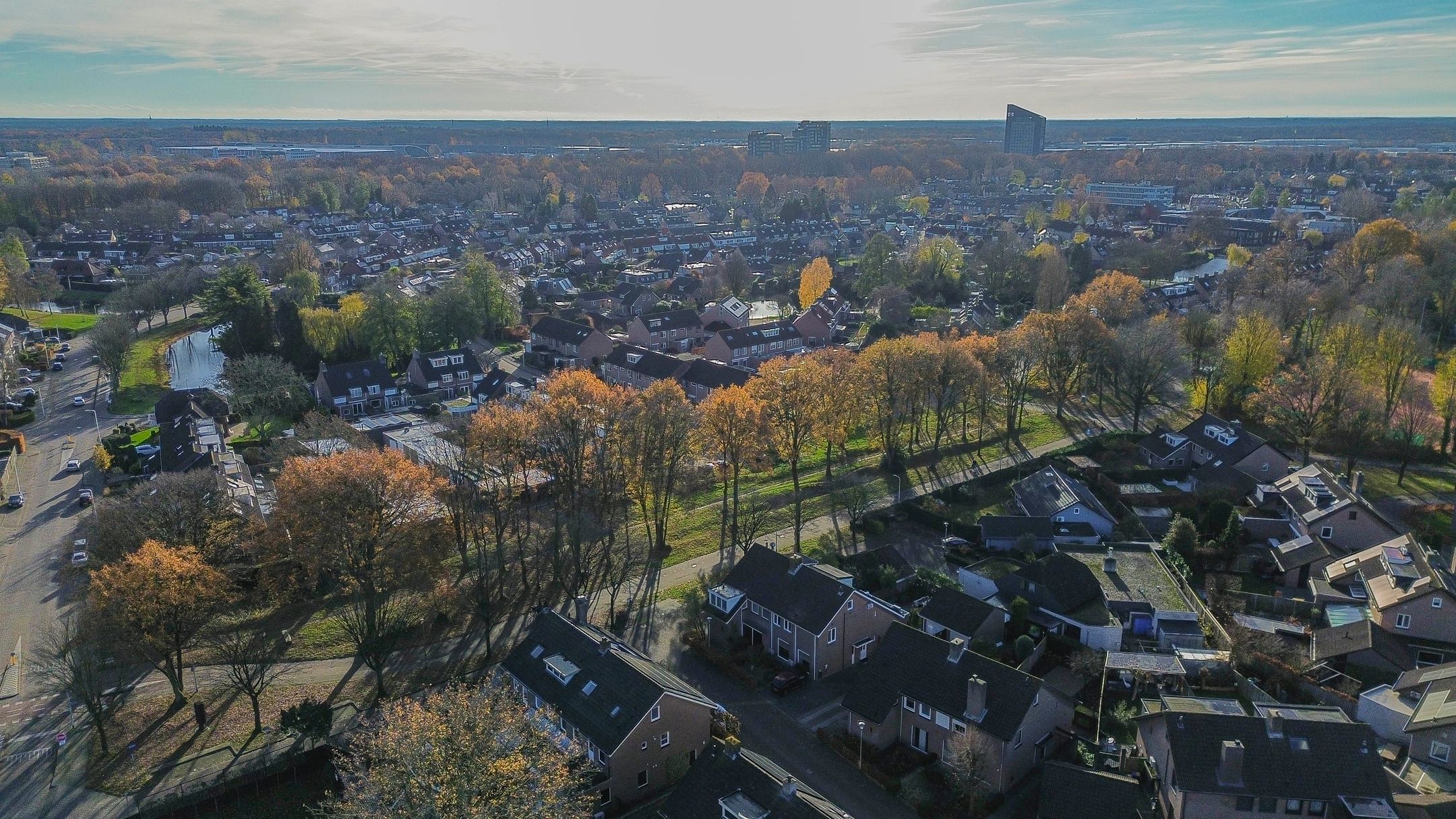 Photo 48 of Dieze 16