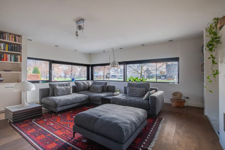 Photo 20 of Morel 22