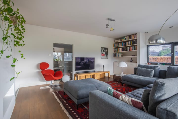 Photo 22 of Morel 22