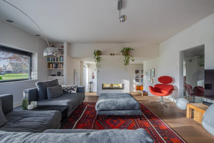 Photo 25 of Morel 22