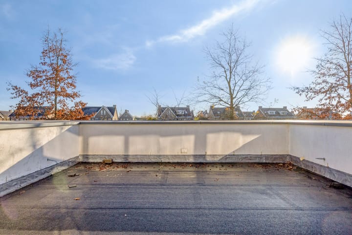 Photo 36 of Morel 22