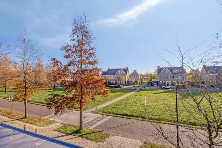 Photo 37 of Morel 22