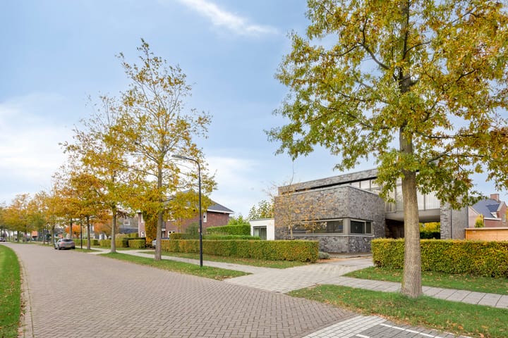 Photo 49 of Morel 22