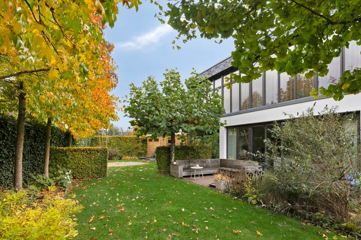 Photo 50 of Morel 22