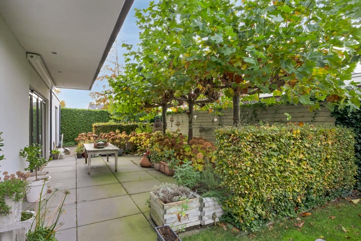 Photo 51 of Morel 22