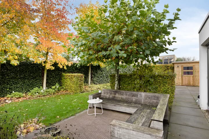 Photo 53 of Morel 22